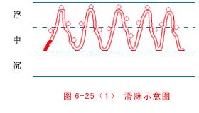 脈相 浮滑|脈滑